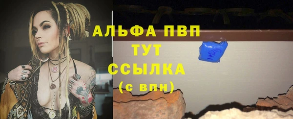 PSILOCYBIN Козловка