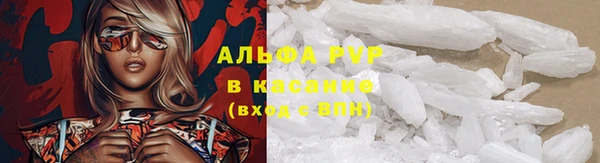 PSILOCYBIN Козловка