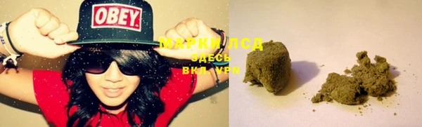 PSILOCYBIN Козловка