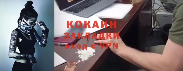 PSILOCYBIN Козловка