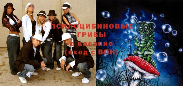 PSILOCYBIN Козловка