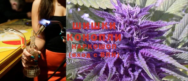 PSILOCYBIN Козловка