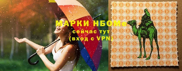 стафф Козельск