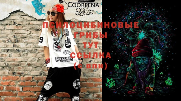 PSILOCYBIN Козловка