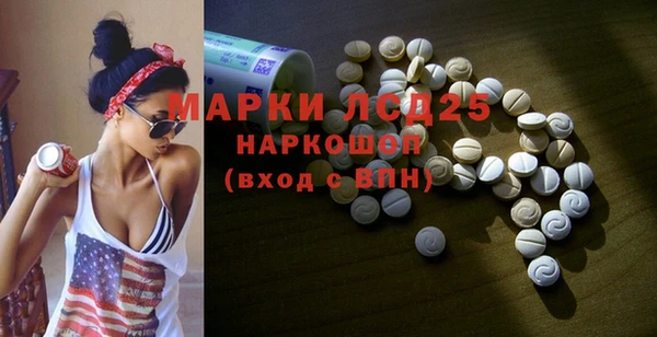 PSILOCYBIN Козловка