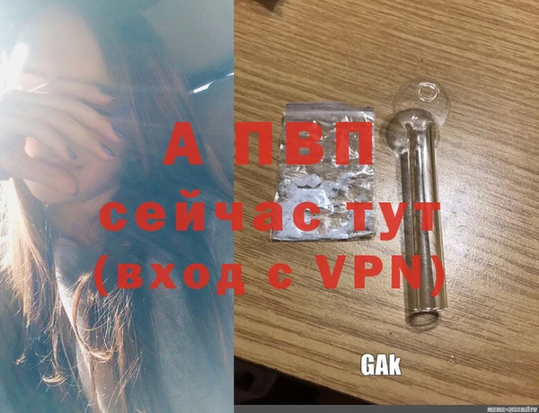 PSILOCYBIN Козловка