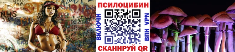 Купить  Партизанск  Псилоцибиновые грибы MAGIC MUSHROOMS 